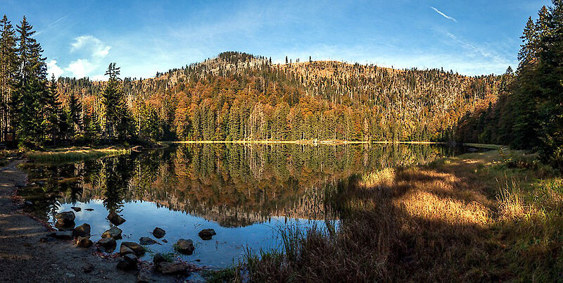 Rachelsee Nationalpark Bayerischer Wald